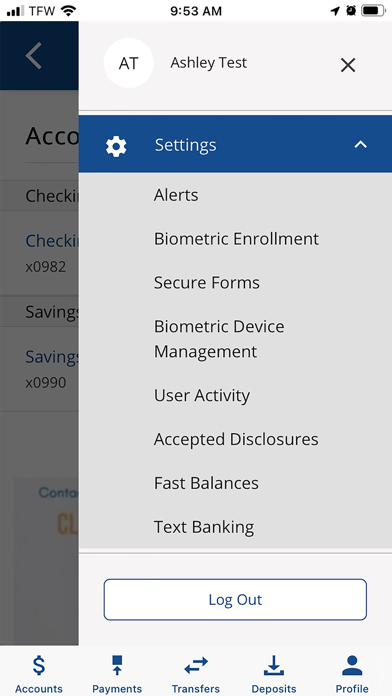 Falcon National Bank Screenshot