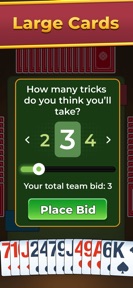 Spades For Seniors: Card Game screenshot