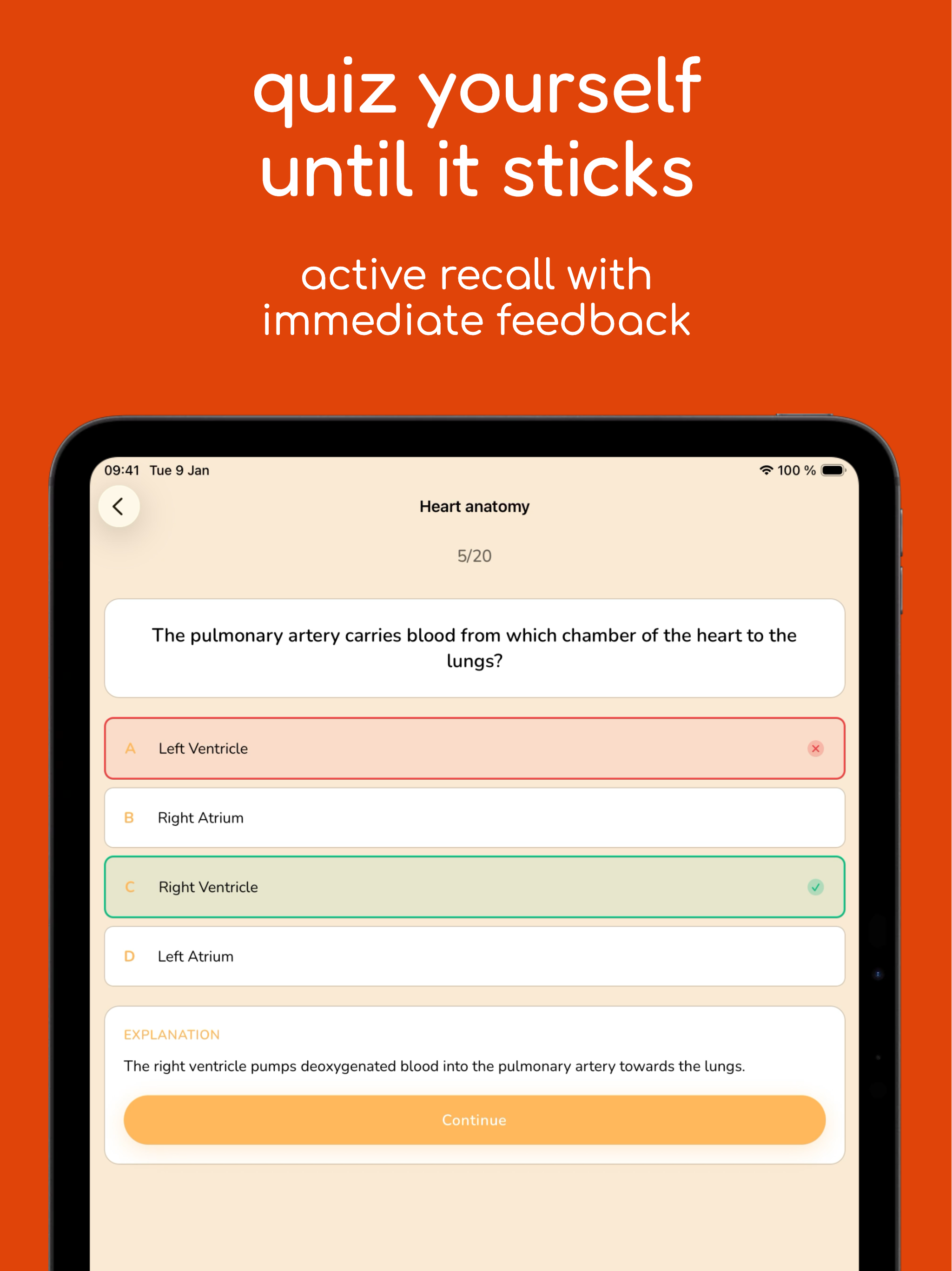 Ankra: Flashcards & Quizzes