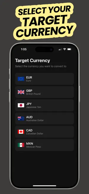 Offline Peso Dollar Converter screenshot 3