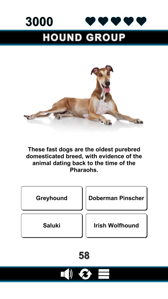 #7. Good Dog (iOS) 由: Darren McNally