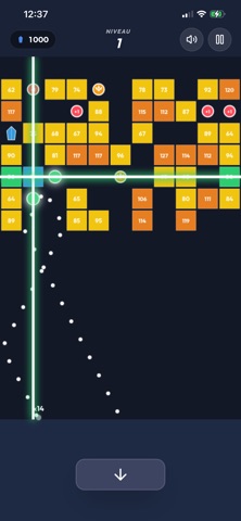 Royal Brick Master iPhone screenshot