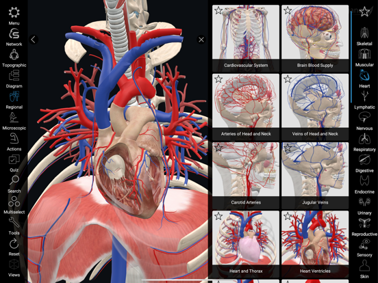 3D Organon iPad screenshot 1 - Medical app