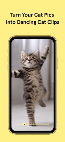 Dancing Cats A.I. iPhone screenshot