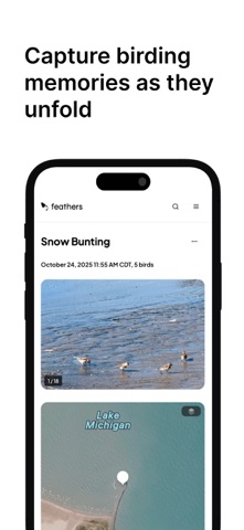 Feathers: Birding Field Notes screenshot