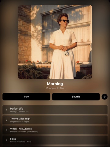 Spite Music Player ipad screenshot 4
