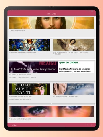 Miembros del ANE iPad screenshot