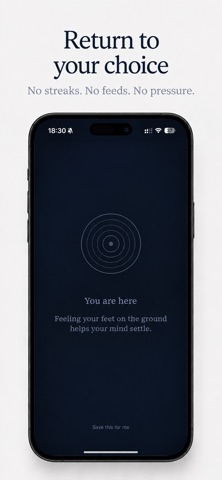 Pulsation: Digital Pause Screenshot 3 of 5