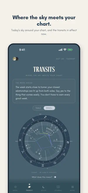 Mood Astrology screenshot 3