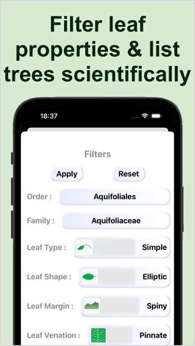 Forest Tree Identification