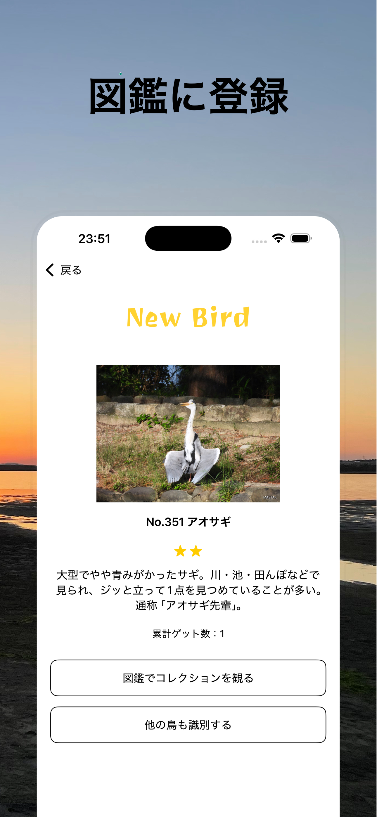 野鳥GO - 鳥撮り行こう！ screenshot 3