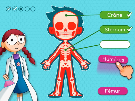 Screenshot #4 pour BodyQuest Premium: Anatomie