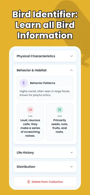Bird Identifier - Birdify screenshot 4