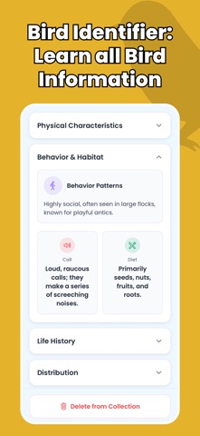 Bird Identifier - Birdify screenshot