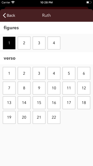 Basic English Bible + Audio Screenshot