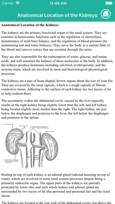Screenshot #3 pour Learn Kidney Anatomy