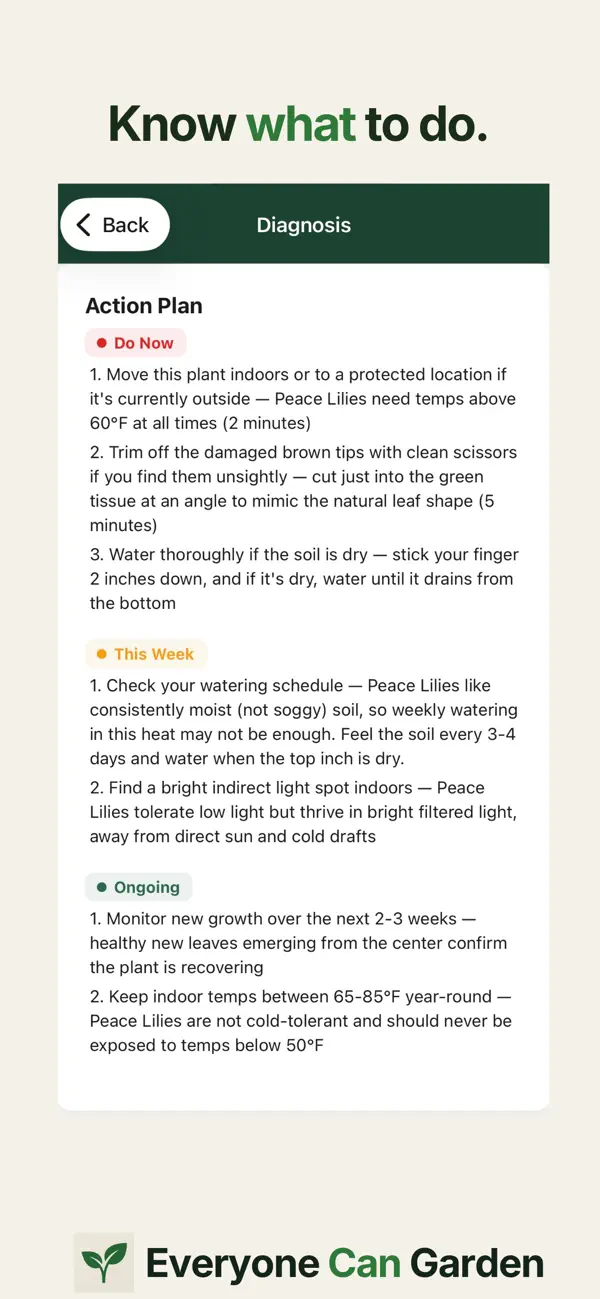 Screenshot #3 pour Everyone Can Garden