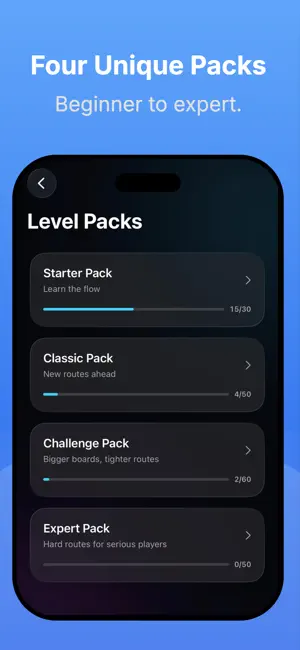 Path Rush: Color Puzzle screenshot 4