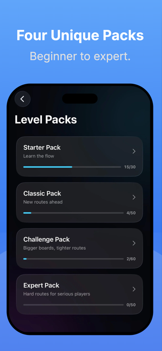 Path Rush: Color Puzzle Screenshot 4 of 4