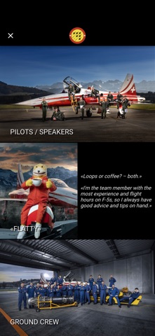 Patrouille Suisse Screenshot 2 of 5