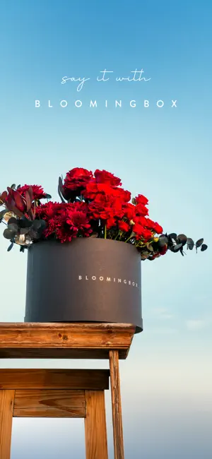 BloomingBox screenshot 1