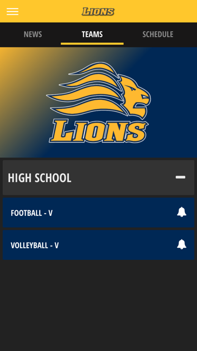 Big Valley CS Lions Screenshot