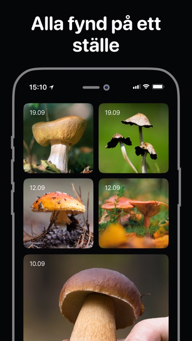 Svampguiden + Identifiering iPhone screenshot 5