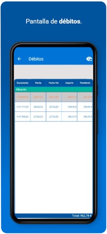 dsWinMob30 screenshot