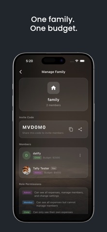 Tally- Smart Expense Tracker Screenshot 5 of 6