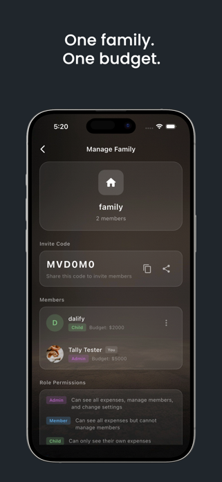 Tally- Smart Expense Tracker Screenshot 5 of 6