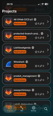GitLabourer screenshot 6