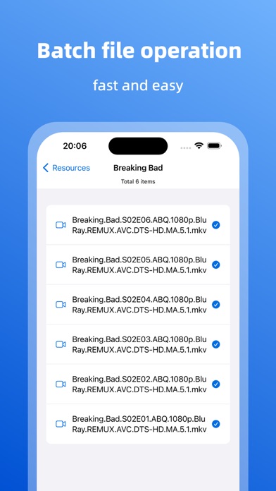 VRenamer Screenshot