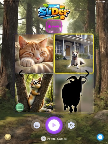 SliDer - Puzzle Adventure iPad screenshot
