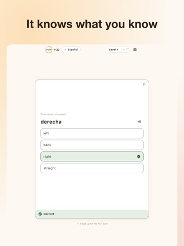 Fluentish: Learn Languages iPad screenshot