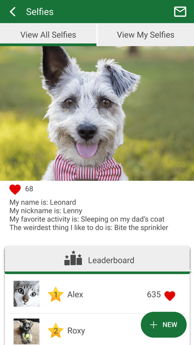 Rensselaer Pet Care Screenshot