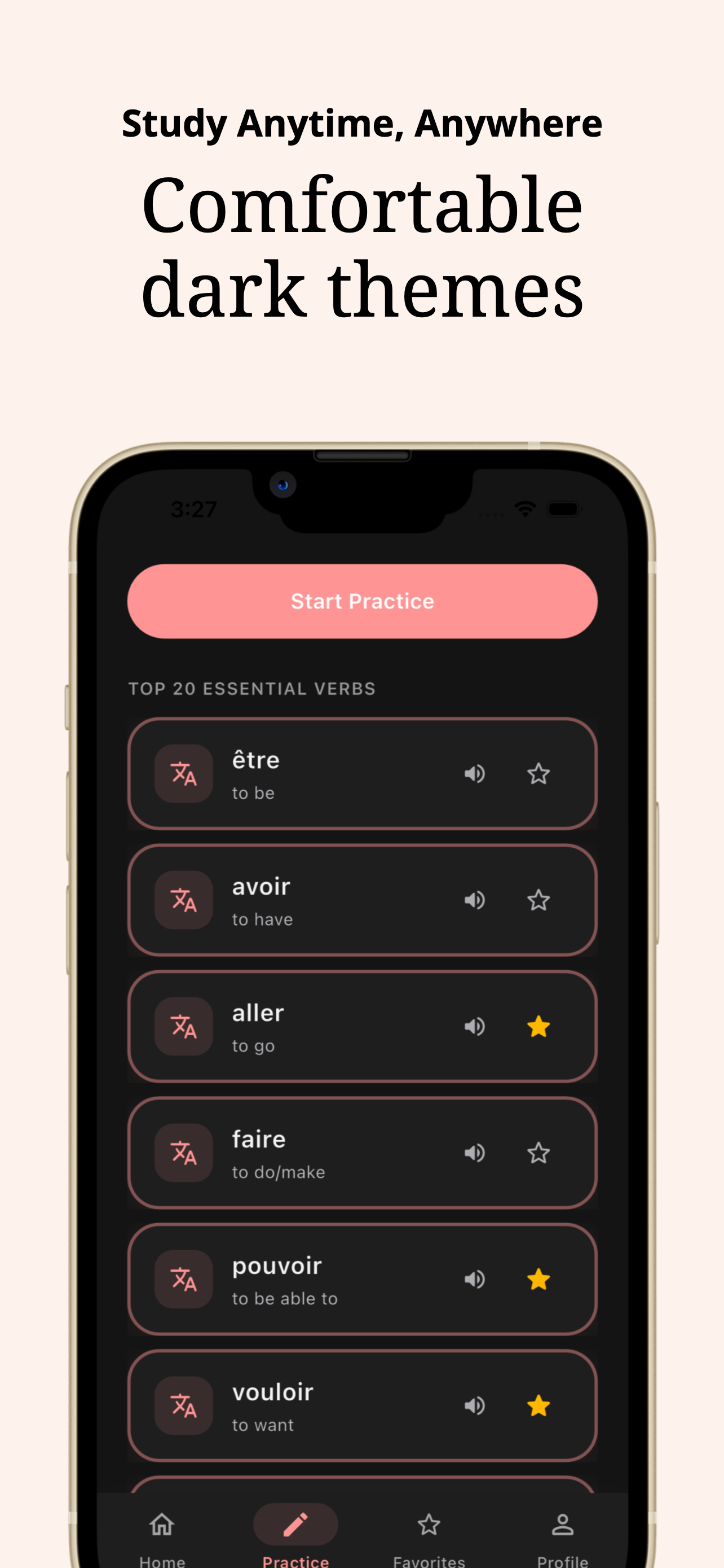 French Conjugation Practice