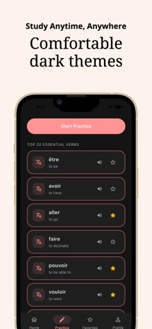 French Conjugation Practice iPhone screenshot