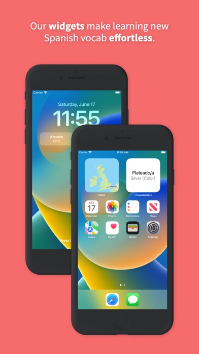 LinguaWidget iPhone screenshot 1 - Education app