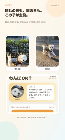 wanpo - わんぽOK？ のスクリーンショット