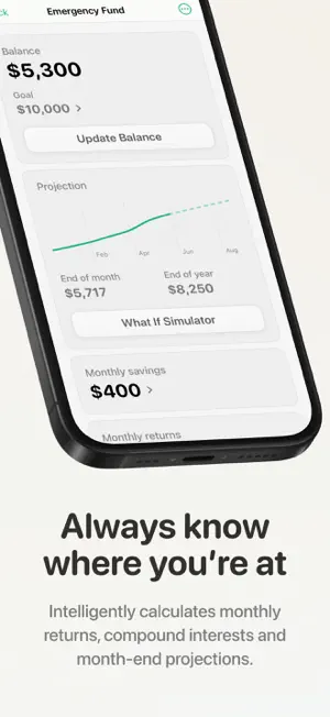 MoneyVision: Progress Widgets screenshot 3