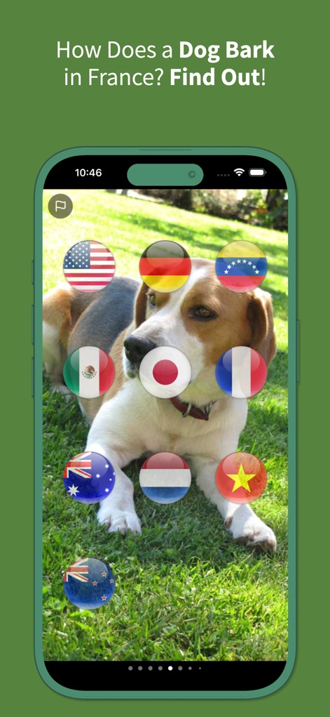 Animal Sounds Translator - Entertainment App | MWM