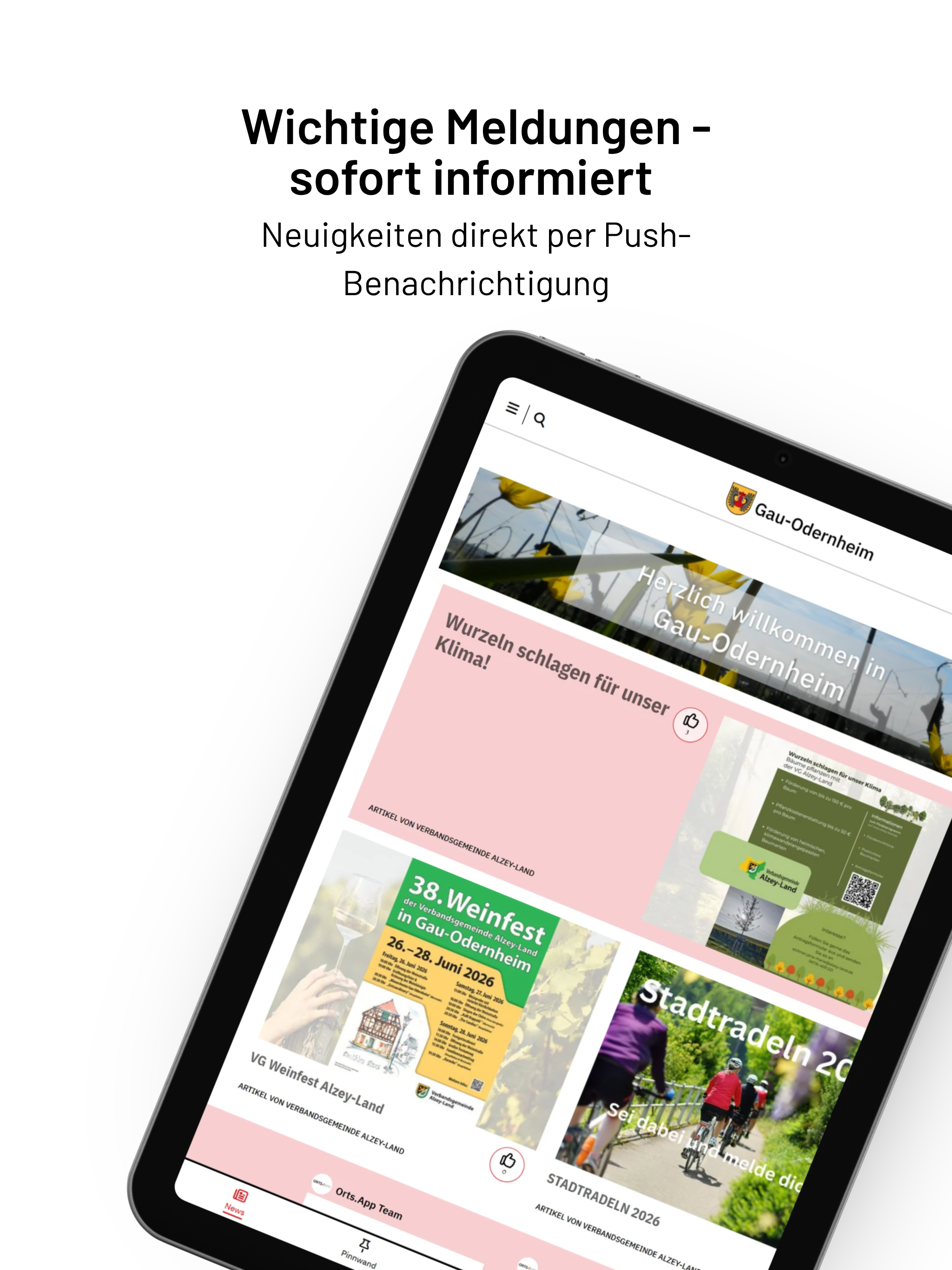 Gau-Odernheim screenshot 7