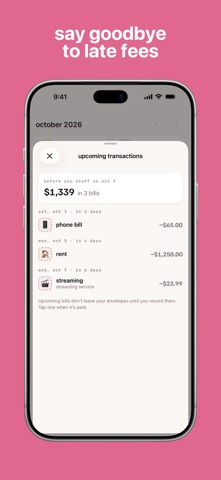 Budget Bestie screenshot 7