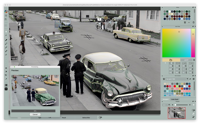 Screenshot #2 pour CODIJY Colorizer Pro
