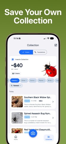 Bug Bite Identifier App screenshot