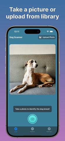 Dog Scanner: Breed Identifier Screenshot 3 of 5