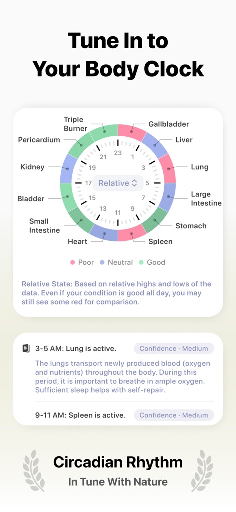AMood: AI Mood Monitor - このアプリは、臓器活動の概日リズムを示す円形グラフを通じて体内時計のパターンを視覚化し、特定の時間帯における「Lung is active」のような詳細な説明で、ユーザーの生活リズムへの洞察を深めます。