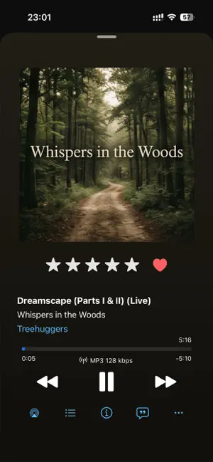 iMusify screenshot 3