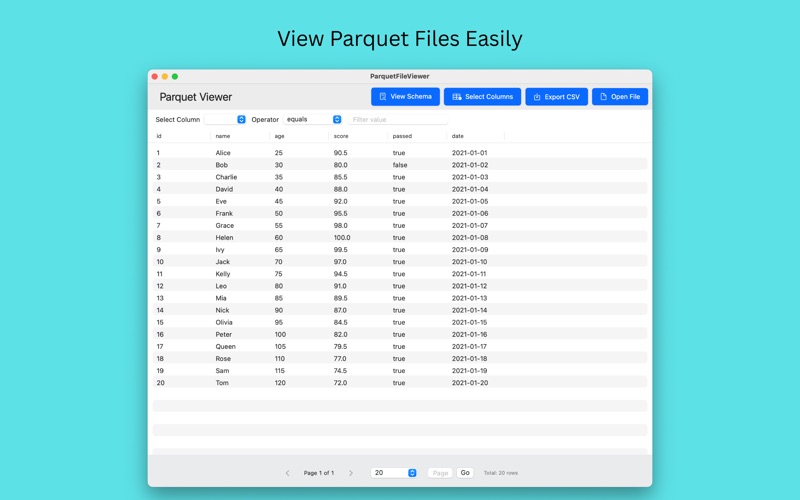 ParquetFileViewer screenshot