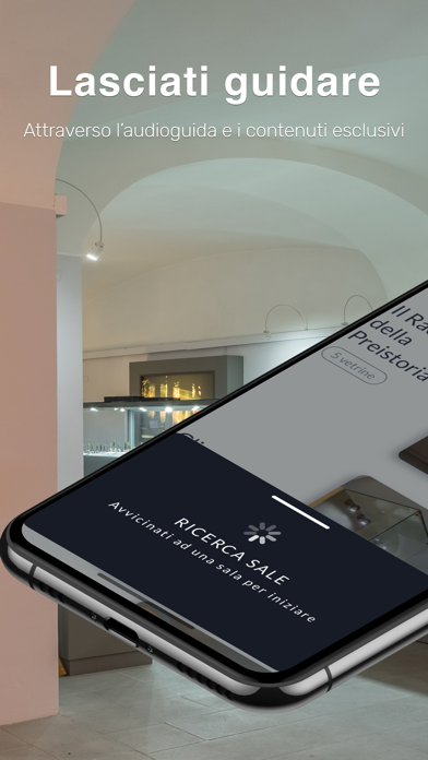 ARCA - Museo del Casentino Screenshot
